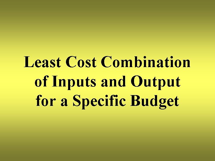 Least Combination of Inputs and Output for a Specific Budget 