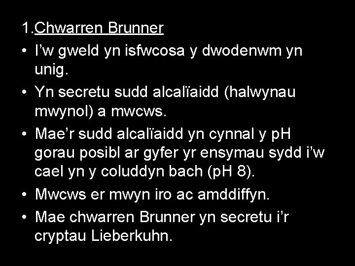 1. Chwarren Brunner • I’w gweld yn isfwcosa y dwodenwm yn unig. • Yn