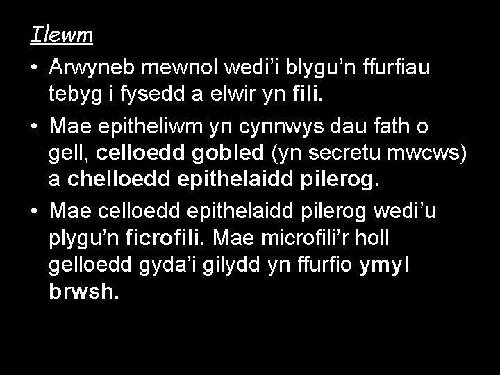 Ilewm • Arwyneb mewnol wedi’i blygu’n ffurfiau tebyg i fysedd a elwir yn fili.
