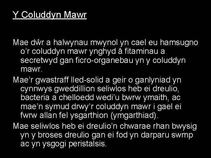 Y Coluddyn Mawr Mae dŵr a halwynau mwynol yn cael eu hamsugno o’r coluddyn