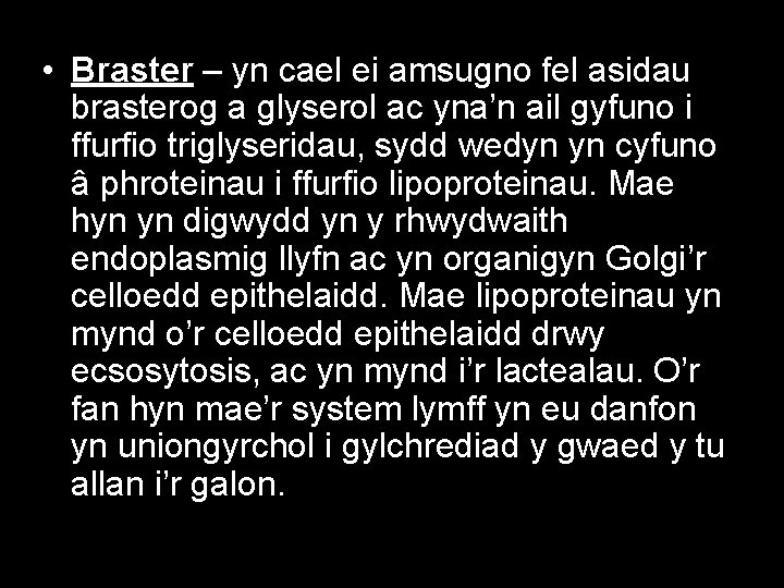  • Braster – yn cael ei amsugno fel asidau brasterog a glyserol ac