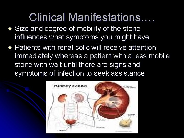 Clinical Manifestations…. l l Size and degree of mobility of the stone influences what