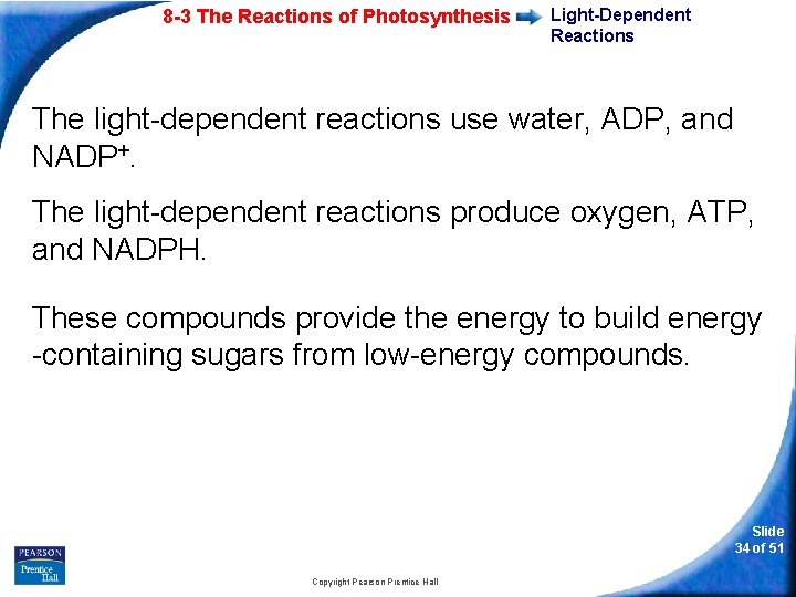 8 -3 The Reactions of Photosynthesis Light-Dependent Reactions The light-dependent reactions use water, ADP,