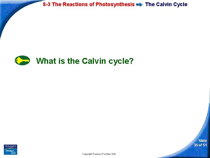 8 -3 The Reactions of Photosynthesis The Calvin Cycle What is the Calvin cycle?