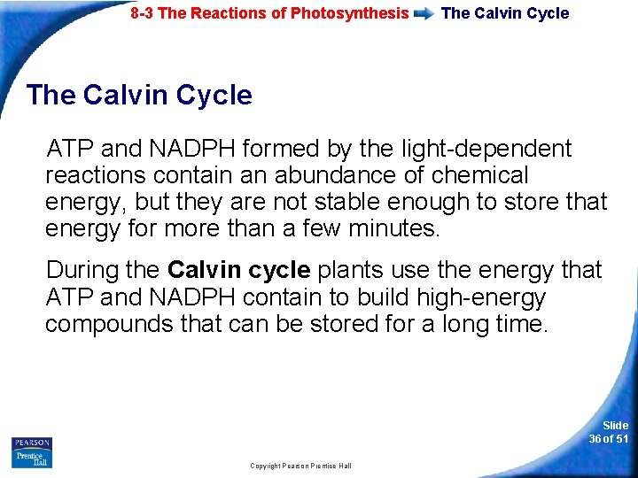8 -3 The Reactions of Photosynthesis The Calvin Cycle ATP and NADPH formed by