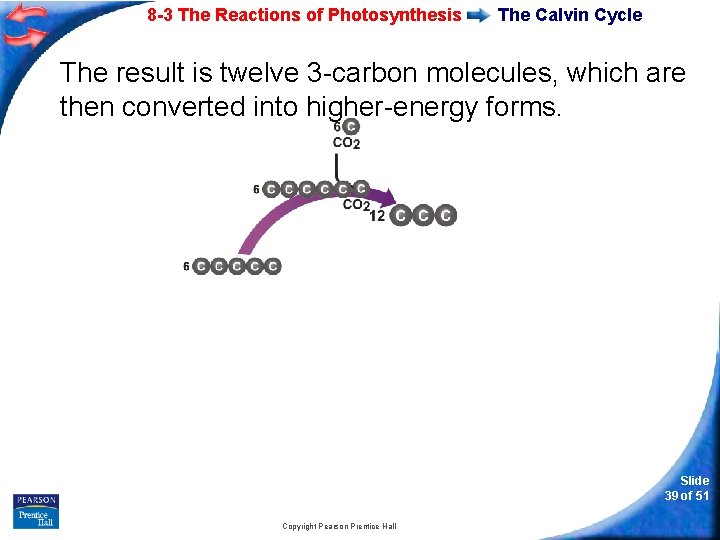 8 -3 The Reactions of Photosynthesis The Calvin Cycle The result is twelve 3