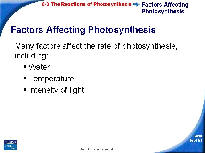 8 -3 The Reactions of Photosynthesis Factors Affecting Photosynthesis Many factors affect the rate