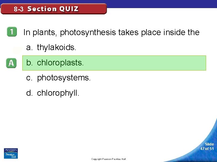 8 -3 In plants, photosynthesis takes place inside the a. thylakoids. b. chloroplasts. c.