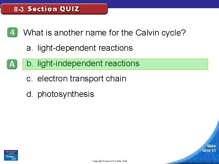 8 -3 What is another name for the Calvin cycle? a. light-dependent reactions b.