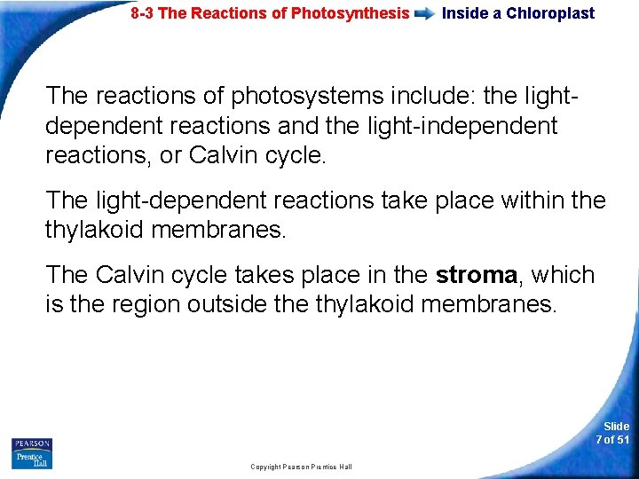 8 -3 The Reactions of Photosynthesis Inside a Chloroplast The reactions of photosystems include: