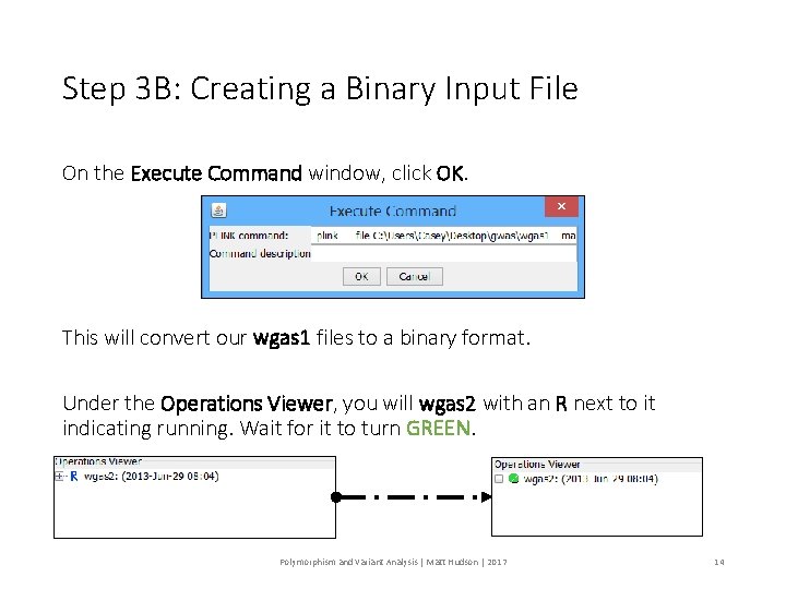 Step 3 B: Creating a Binary Input File On the Execute Command window, click