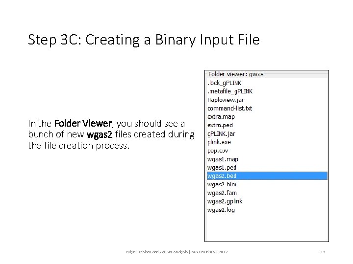 Step 3 C: Creating a Binary Input File In the Folder Viewer, you should