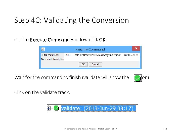 Step 4 C: Validating the Conversion On the Execute Command window click OK. Wait