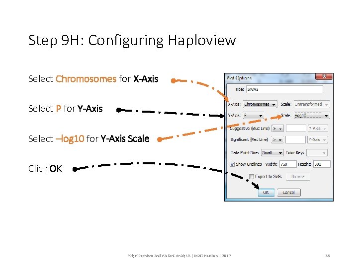 Step 9 H: Configuring Haploview Select Chromosomes for X-Axis Select P for Y-Axis Select