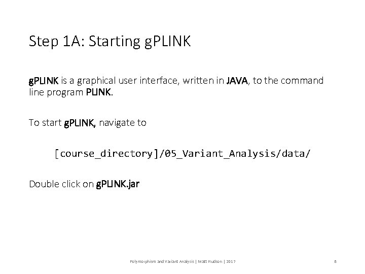 Step 1 A: Starting g. PLINK is a graphical user interface, written in JAVA,