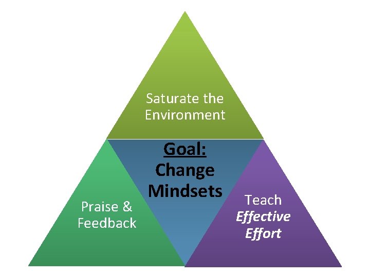 Saturate the Environment Praise & Feedback Goal: Change Mindsets Teach Effective Effort 