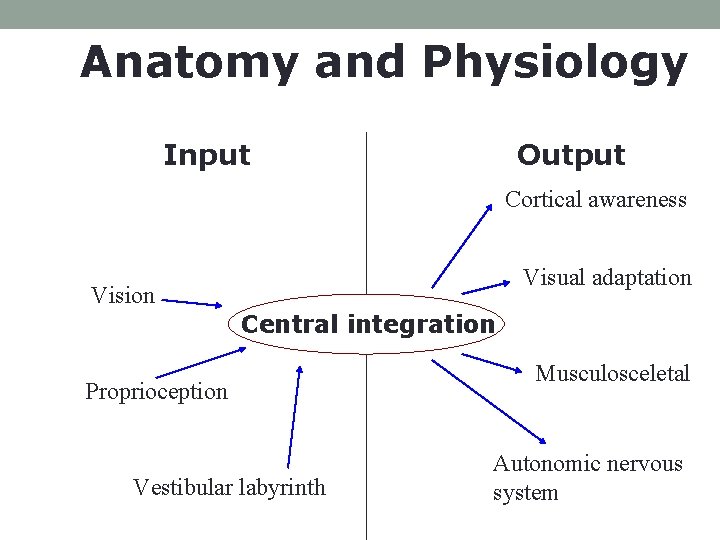 Anatomy and Physiology Input Output Cortical awareness Visual adaptation Vision Central integration Proprioception Vestibular