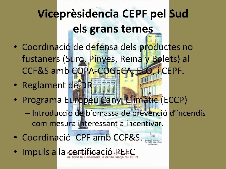 Viceprèsidencia CEPF pel Sud els grans temes • Coordinació de defensa dels productes no