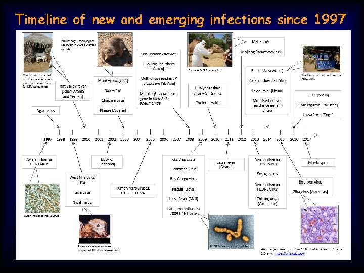 Timeline of new and emerging infections since 1997 