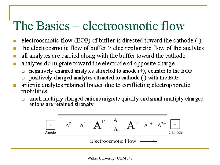 The Basics – electroosmotic flow n n electroosmotic flow (EOF) of buffer is directed