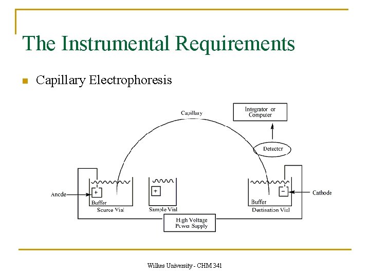 The Instrumental Requirements n Capillary Electrophoresis Wilkes University - CHM 341 