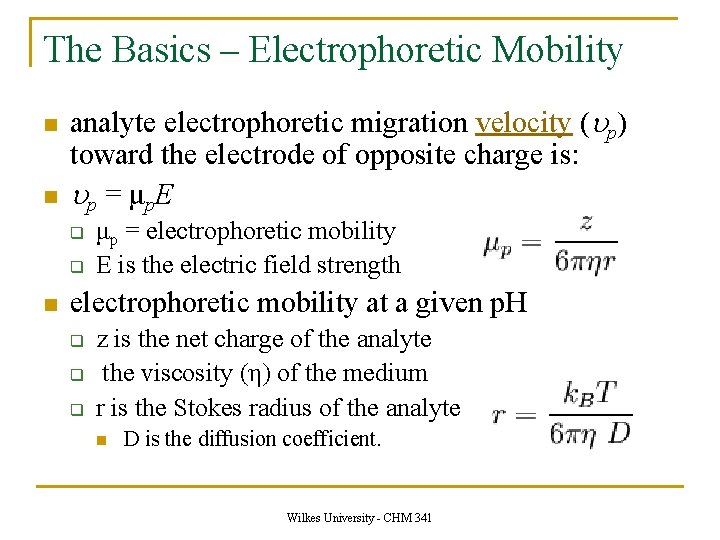 The Basics – Electrophoretic Mobility n n analyte electrophoretic migration velocity (up) toward the