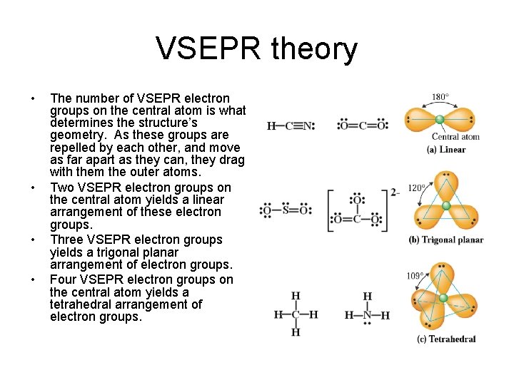 VSEPR theory • • The number of VSEPR electron groups on the central atom
