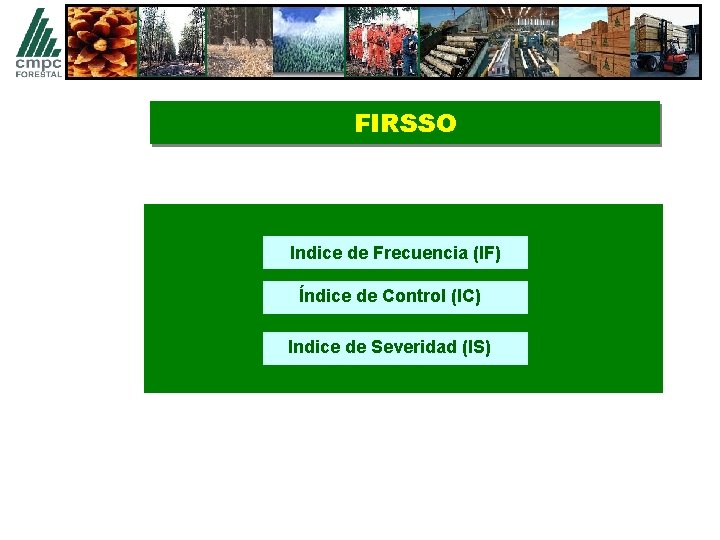 FIRSSO Indice de Frecuencia (IF) Índice de Control (IC) Indice de Severidad (IS) 