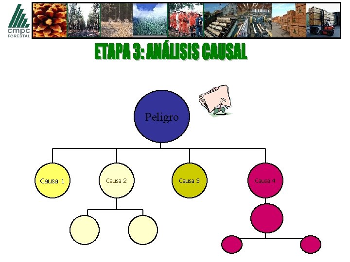 Peligro Causa 1 Causa 2 Causa 3 Causa 4 