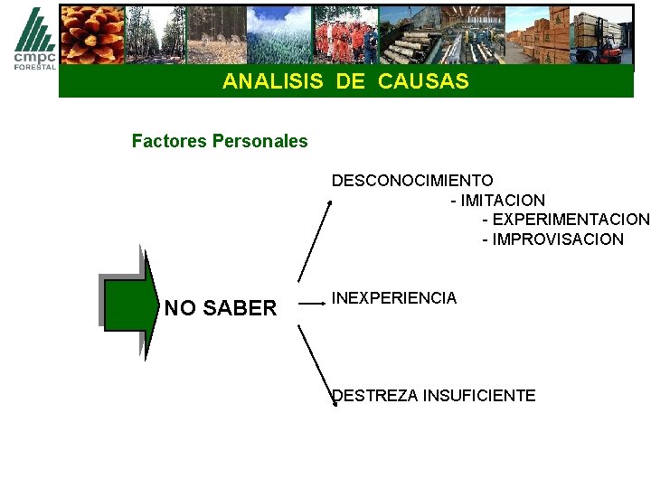 ANALISIS DE CAUSAS Factores Personales DESCONOCIMIENTO - IMITACION - EXPERIMENTACION - IMPROVISACION NO SABER