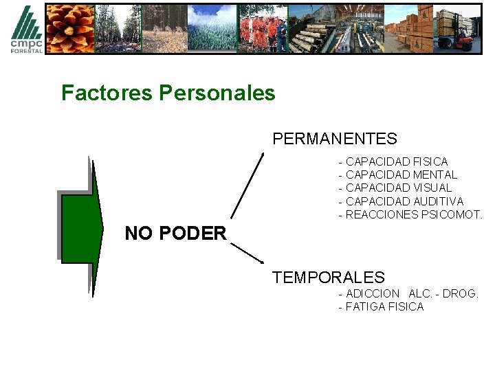 Factores Personales PERMANENTES - CAPACIDAD FISICA - CAPACIDAD MENTAL - CAPACIDAD VISUAL - CAPACIDAD