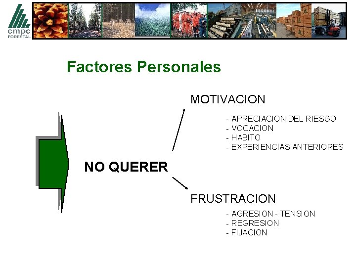 Factores Personales MOTIVACION - APRECIACION DEL RIESGO - VOCACION - HABITO - EXPERIENCIAS ANTERIORES