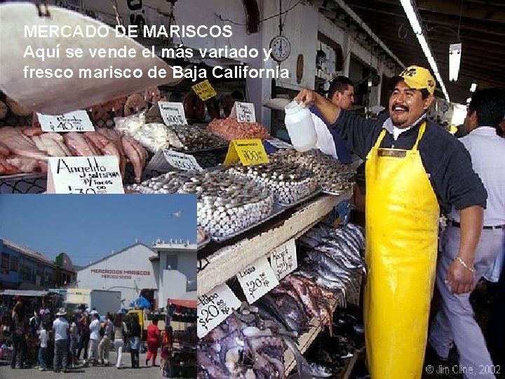 MERCADO DE MARISCOS Aquí se vende el más variado y fresco marisco de Baja