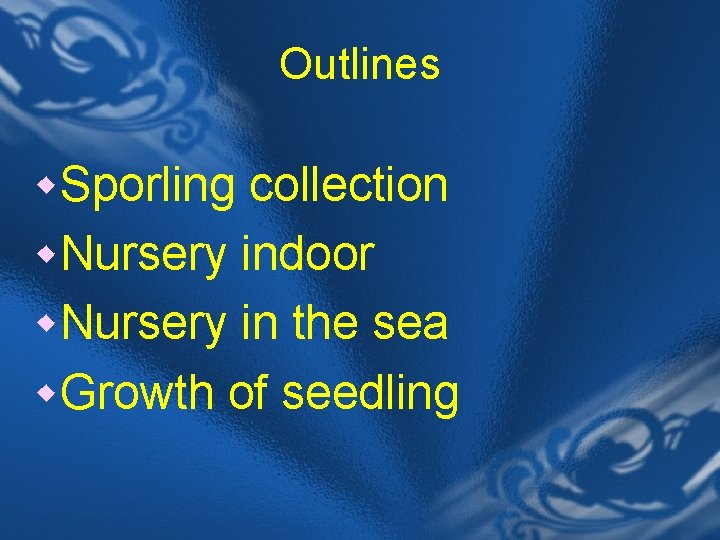 Outlines w Sporling collection w Nursery indoor w Nursery in the sea w Growth