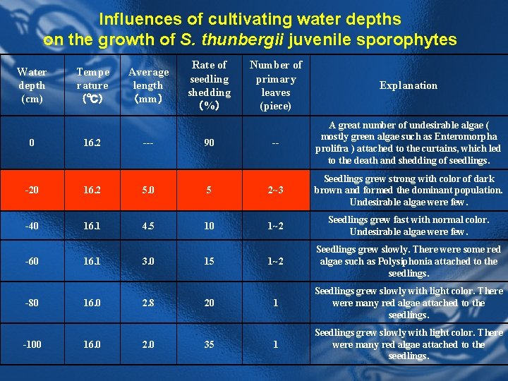 Influences of cultivating water depths on the growth of S. thunbergii juvenile sporophytes Water