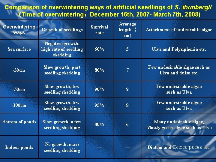 Comparison of overwintering ways of artificial seedlings of S. thunbergii （Time of overwintering：December 16