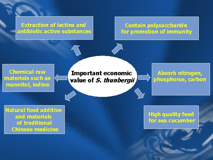 Extraction of lectins and antibiotic active substances Chemical raw materials such as mannitol, iodine