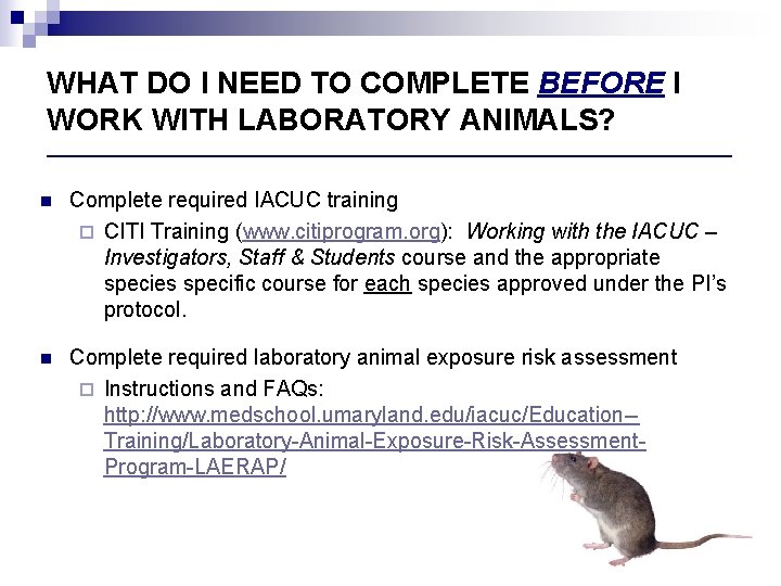 WHAT DO I NEED TO COMPLETE BEFORE I WORK WITH LABORATORY ANIMALS? ____________________________________ n