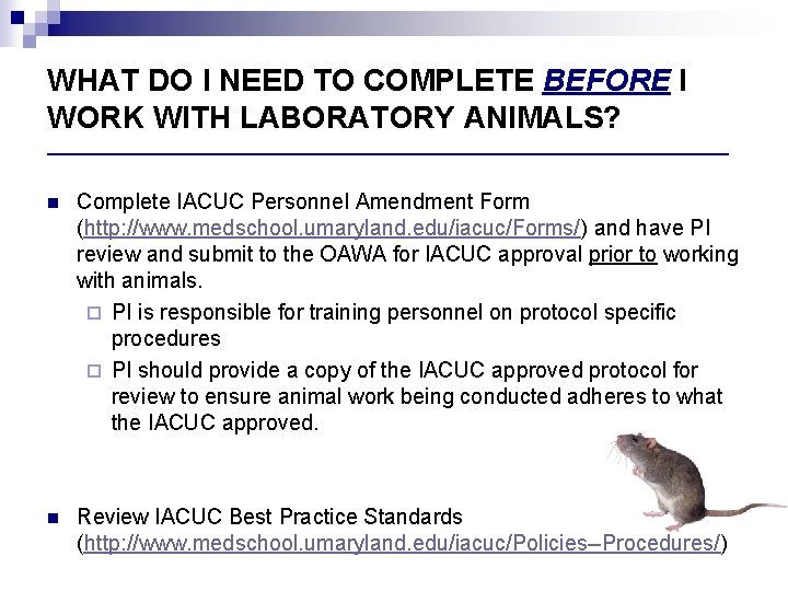 WHAT DO I NEED TO COMPLETE BEFORE I WORK WITH LABORATORY ANIMALS? ___________________________________ n