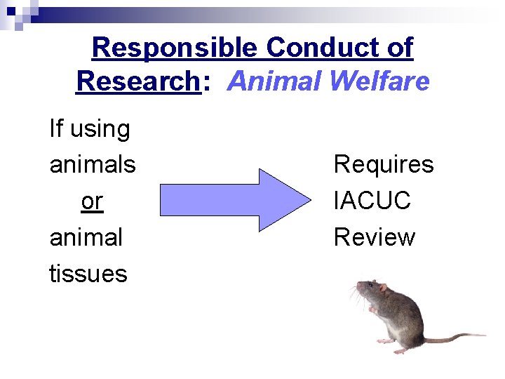 Responsible Conduct of Research: Animal Welfare If using animals or animal tissues Requires IACUC