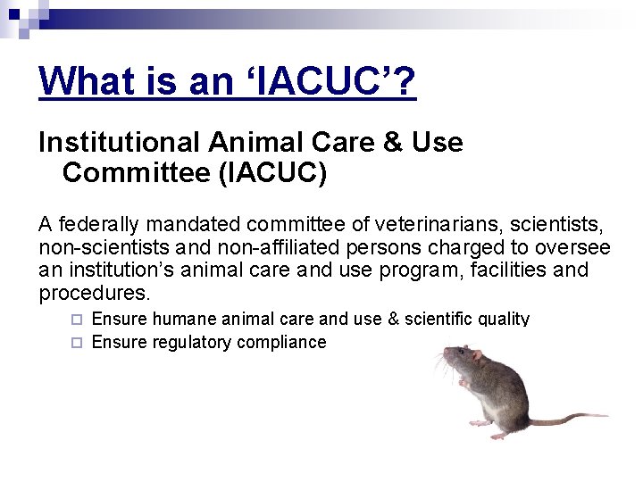 What is an ‘IACUC’? Institutional Animal Care & Use Committee (IACUC) A federally mandated