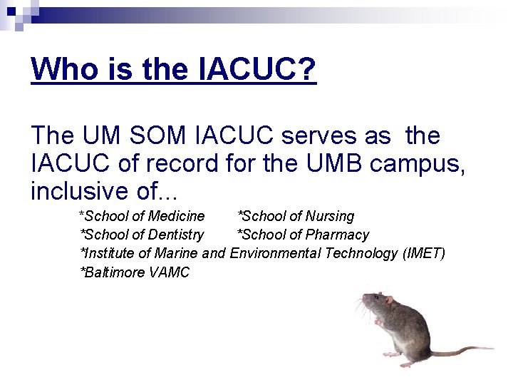 Who is the IACUC? The UM SOM IACUC serves as the IACUC of record