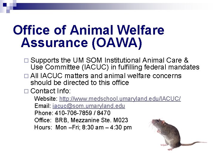 Office of Animal Welfare Assurance (OAWA) ¨ Supports the UM SOM Institutional Animal Care