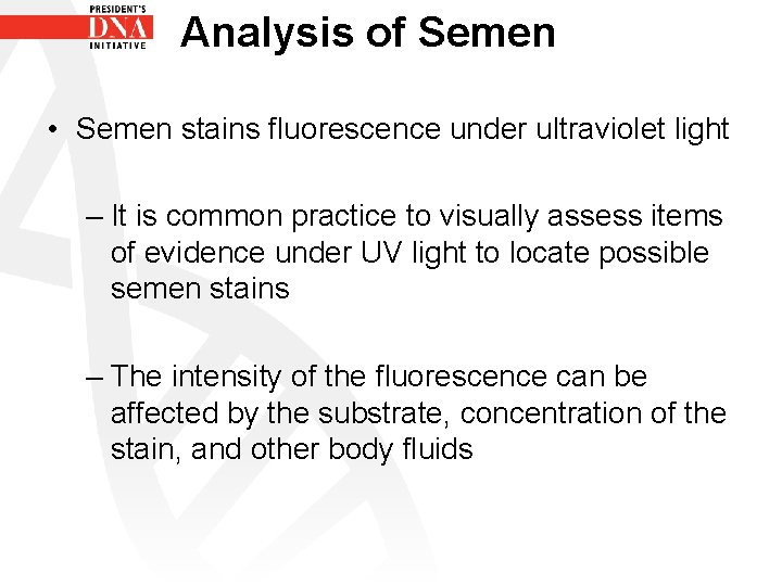 Analysis of Semen • Semen stains fluorescence under ultraviolet light – It is common