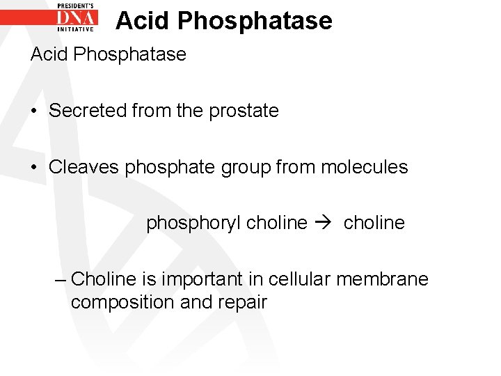 Acid Phosphatase • Secreted from the prostate • Cleaves phosphate group from molecules phosphoryl