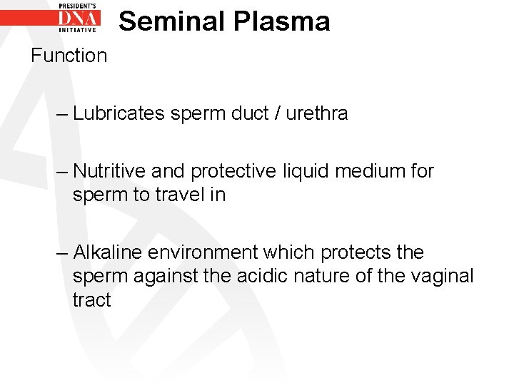 Seminal Plasma Function – Lubricates sperm duct / urethra – Nutritive and protective liquid