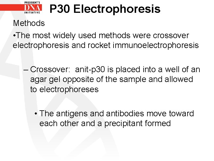 P 30 Electrophoresis Methods • The most widely used methods were crossover electrophoresis and