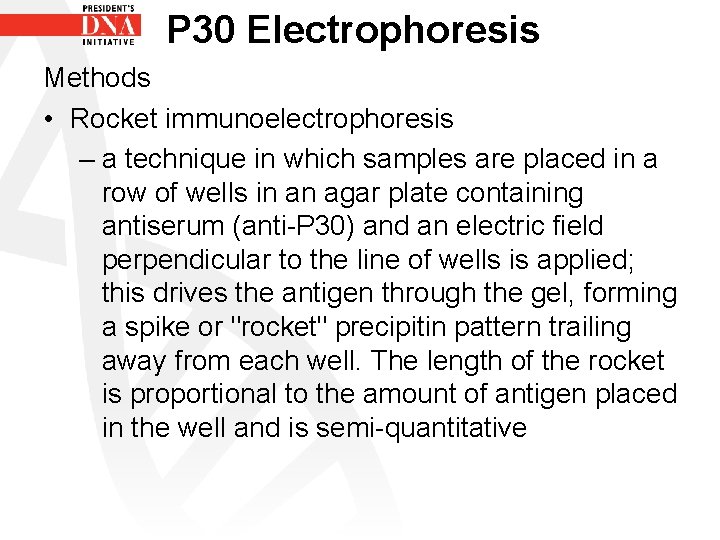 P 30 Electrophoresis Methods • Rocket immunoelectrophoresis – a technique in which samples are