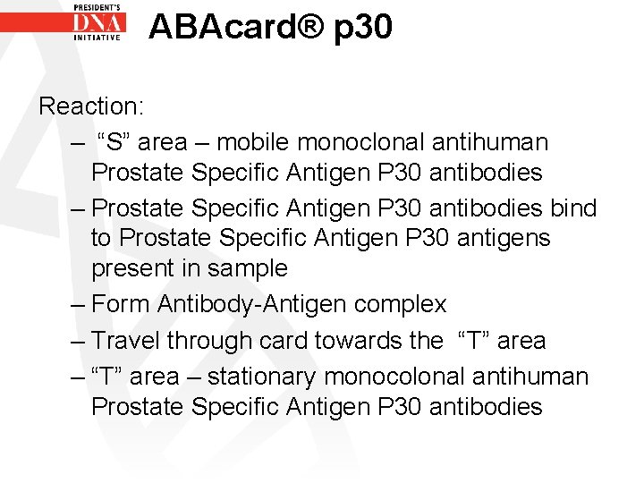 ABAcard® p 30 Reaction: – “S” area – mobile monoclonal antihuman Prostate Specific Antigen