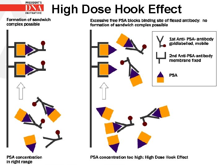 High Dose Hook Effect 